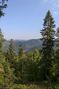 Ausblick vom Hochkopf nach Norden