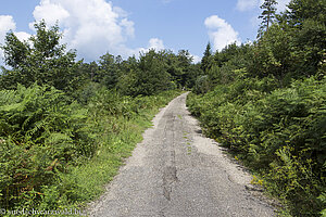 Wanderweg von Bad Herrenalb zum Bernsteinfelsen