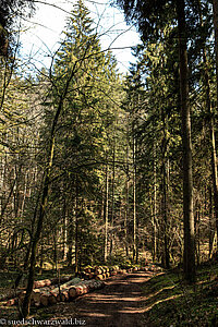 Wanderweg zu den Höllbachwasserfällen