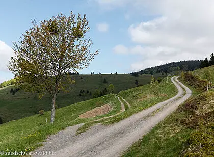 Bernauer Panoramaweg und Albweg