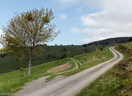 Bernauer Panoramaweg und Albweg