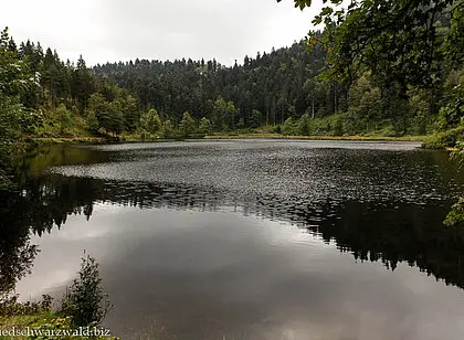 Wanderung an den Nonnenmattweiher