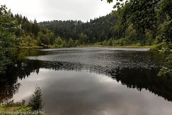 Wanderung an den Nonnenmattweiher