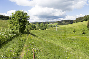 Wanderung auf dem Heilklimasteig bei Schönwald