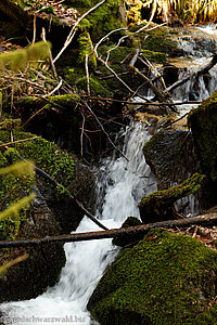 Sägebach bei Wehr