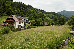 Tal der Simonswälder Haslach