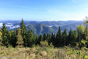 Ausblick vom Farrenkopf über das Gutachtal