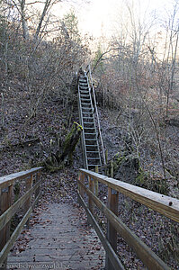 Treppe-Leiter bei den Schleifenbach-Wasserfällen