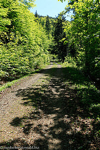 Westweg zwischen Herzogenhorn und Blößling