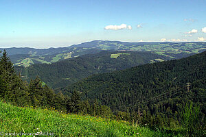 Wanderung von Himmelreich nach Hinterzarten