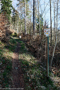 Abzweig auf dem Jockisebenweg zur Mettlerhalde