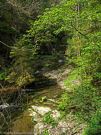 ^Gauchachschlucht im Frühjahr