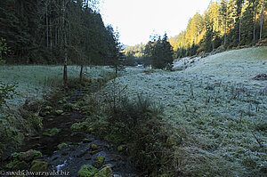 Frostiger Start im Sankenbachtal