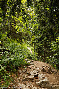 Feldberger Felsenweg