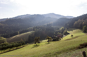 Aussicht vom Hausacher Bergsteig