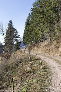 Wandern um den Schneckenkopf