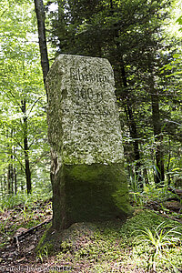 Wegweiser auf den Falkenstein