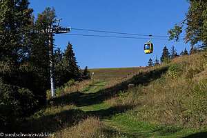 Wanderweg unterhalb der Belchenbahn