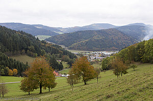 Blick durch ein Seitental der Kinzig