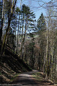 Unterer Ehwaldweg