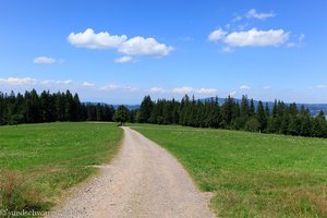 Wanderweg zwischen der Fürsatzhöhe und Breitnau