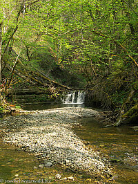 in der wildromantische Gauchachschlucht