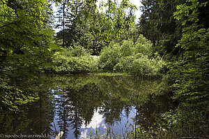 Reinerweiher