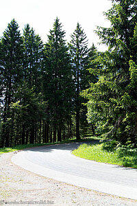 in dieser Kurve geht es runter von der Straße