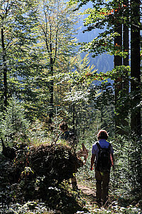 Wanderweg zur Hexenlochmühle