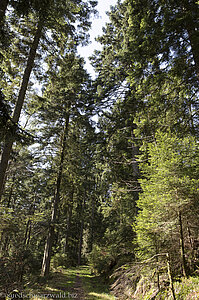 Wanderung von Oppenau nach Bad Peterstal