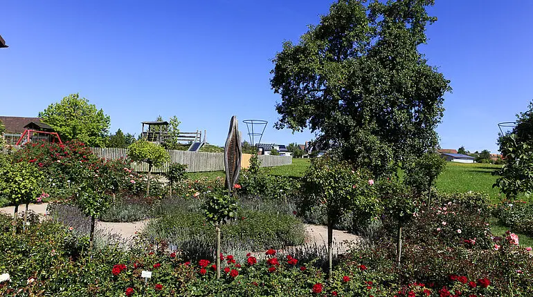 Rosensortimentsgarten in Nöggenschwiel