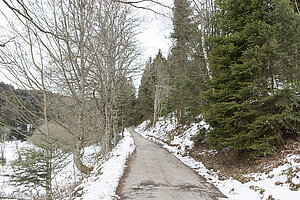 Wanderweg durchs Steiglochtal