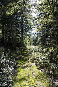 Wanderweg Genießerpfad Ibacher Panoramaweg