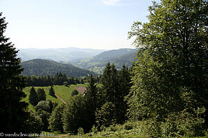 Blick zurück Richtung Neuenweg