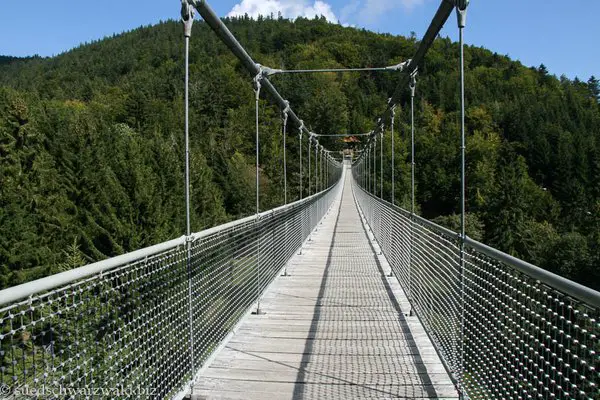 Hängebrücke im Steinwasenpark