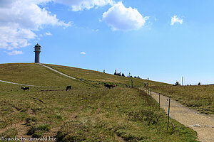 Blick über das Grüble zum Feldbergturm