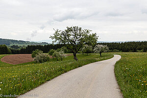 Kulturlandschaft zwischen Görwihl und der Alb