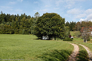 Wanderung auf dem Murgtalpfad