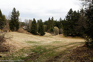 Lichtung nahe Lenzkirch