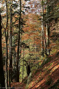 Herbststimmung auf dem Zweitälersteig