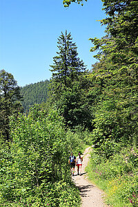 Belchensteig und Westweg