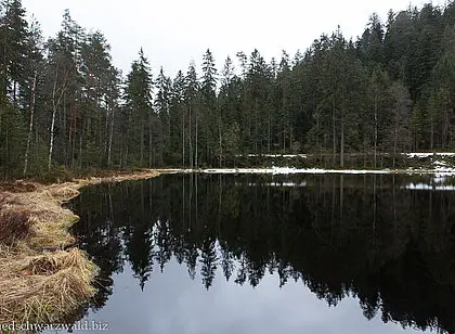 Wanderung an den Schurmsee