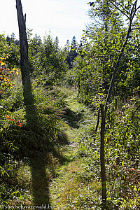 Wanderung um den Silberberg