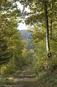 Wanderweg Hausacher Bergsteig