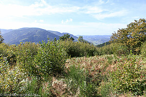 Ausblick von der Prechtaler Schanze