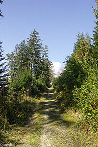 der erste richtige Anstieg der Wanderung