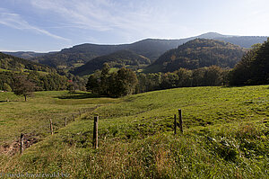 Aussicht über die Berg-Mähwiesen im Renchtal