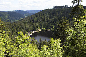 Aussicht vom Seeblick auf den Glaswaldsee