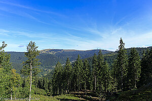 Aussicht vom Silberberg zum Feldberg