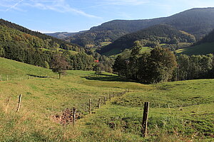 Landschaft im Renchtal